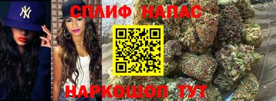 мдпв Нальчик
