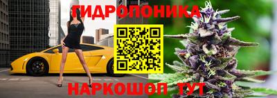 гашик Нарткала